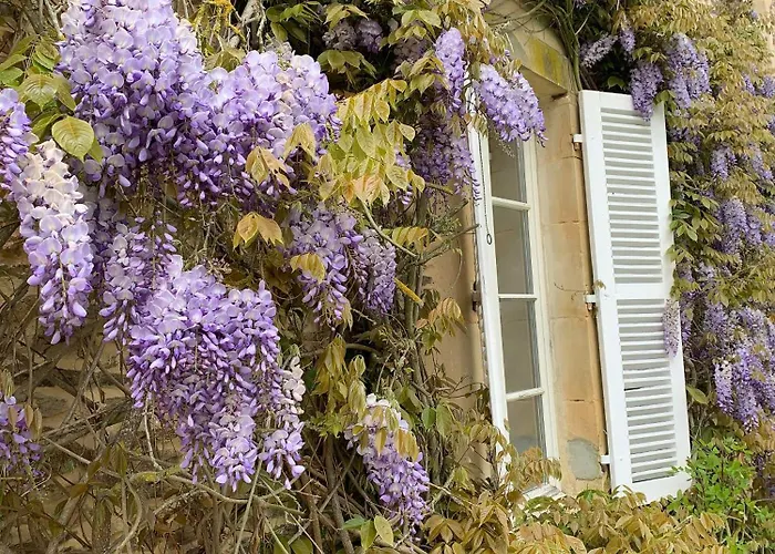 Historic Castle In The Heart Of Normandy Holiday home